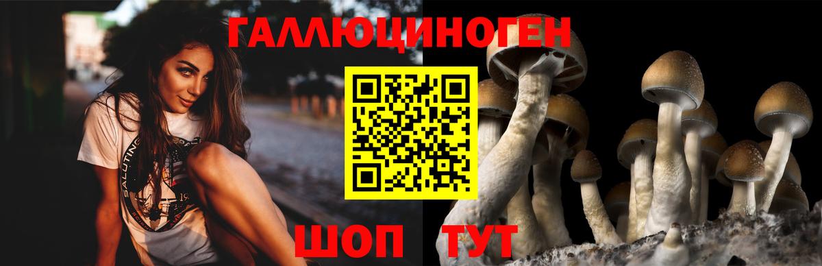 Псилоцибиновые грибы Psilocybe  Вход с VPN  закладка  Астрахань 